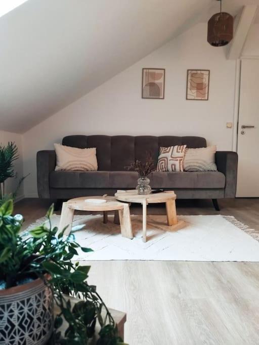 Stylische Altstadtwohnung - Netflix - Smart Tv - Schlafsofa Fuer 3 Personen Erfurt Bagian luar foto